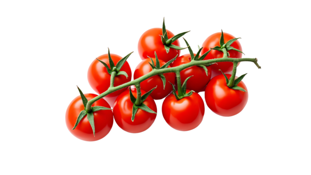 cherry tomatoes on the vine isolated on white background