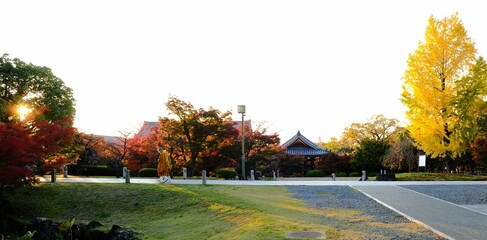 日本、京都、智積院、紅葉、秋、絶景、寺院