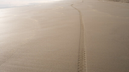 A single tire track curves across the smooth, wet sand of a tranquil beach. The golden sunlight casts a warm glow, enhancing the peaceful and minimalist coastal scenery.