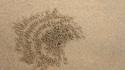 Intricate sand formations made by tiny sand bubbler crabs, creating unique spiral textures around burrow holes on a tropical beach. A natural pattern showcasing marine life activity