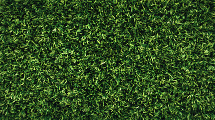 Top-down view of vibrant green grass texture, ideal for nature backgrounds and eco-themed design projects.