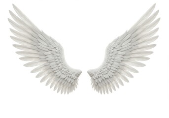 Obraz premium White angel wings detailed feathers