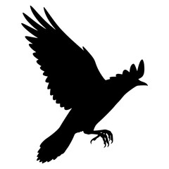 Soaring Bird Silhouette Image | Avian Flight Shadow