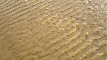 Wet sand with ripple marks shaped by tidal waves, forming intricate natural textures. The organic patterns highlight the interaction of water and earth, creating a mesmerizing coastal landscape.