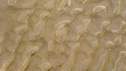 Close-up of wet sand with unique ripple formations shaped by tidal waves. The detailed patterns reveal natural erosion, creating a mesmerizing texture of flowing lines and organic structures.