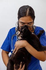 Portrait Of Happy Veterinarian Doctor Woman Holding A black pet, Posing With Healthy Patient Over...