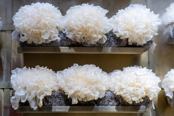 Elegant Display of Artisan Soap Flowers in Soft White
