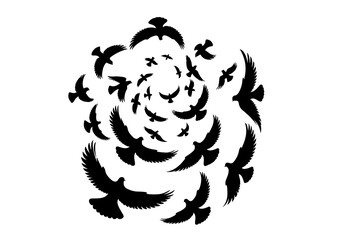 Birds Silhouette Hand Drawn Illustration Black and White Vector Isolated