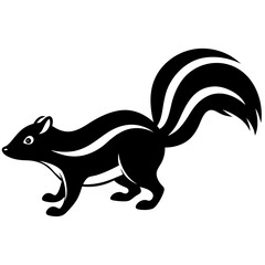 vector illustration of a squirrel  