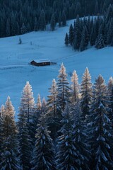 Fototapeta premium trees covered in snow and snow on a mountain side