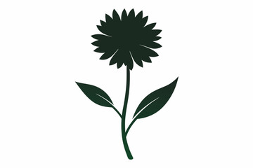 black and white flowers