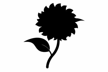 black and white flowers