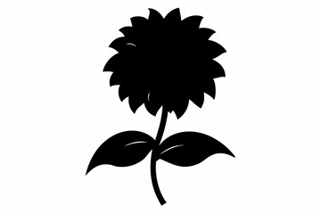 black and white flowers