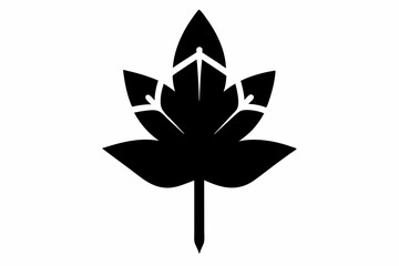 black and white flowers