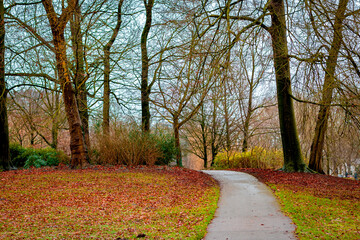 Fototapeta premium A path in a park with trees and leaves on the ground