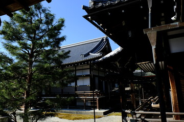 Fototapeta premium 京都、大覚寺、佛寺、寺院、文化財、木造建築、古代建築、日本文化、歷史名勝、紅葉名所、木