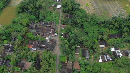 Lush Tropical Countryside Landscape in Indonesia