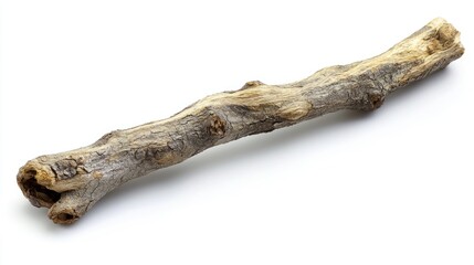 Fototapeta premium Rustic Wooden Branch: A Study in Natural Textures and Forms