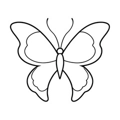 butterfly vector illustration line art 