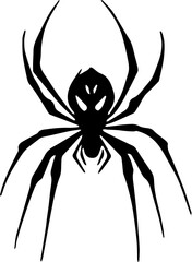 spider on a white background