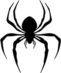 spider on a white background