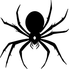 spider on a white background