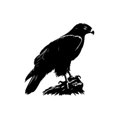Fototapeta premium Silhouette of a crow and raven in flight on a white background, showcasing wings, feathers, and beaks in a nature-inspired illustration