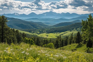 Fototapeta premium mountain landscape in the summer