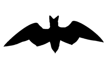 bat silhouette