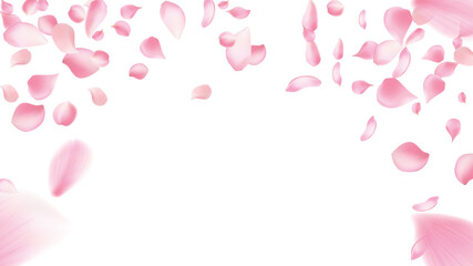 Sakura petal spring blossom on white banner. Pink rose composition. Flower flying background. Beauty Spa product frame with gorgeous rose petal greeting card design.