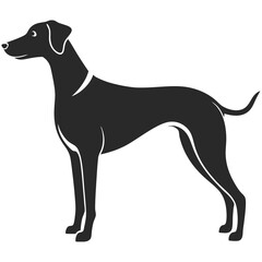 Hound Dog silhouette vector illustration