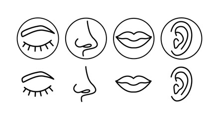 A set of icons for eyes, mouth, nose and ears.