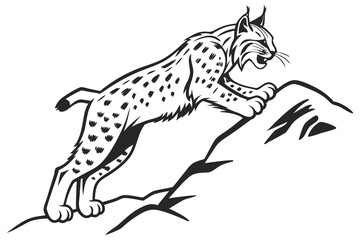 Wild feline animals vector sketch includes a wolf and cat