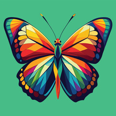 Vibrant butterfly vector illustration, a colorful insect with patterned wings in summer flight.