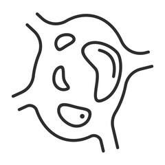 Obraz premium Anatomy