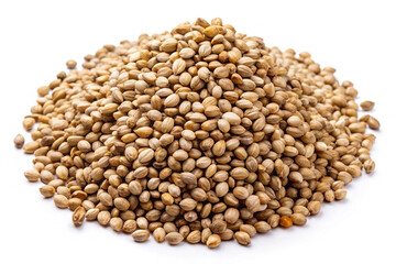 Fototapeta premium Hemp Seeds – Hard, Speckled Light Brown Seeds with a Smooth Surface on a White Background