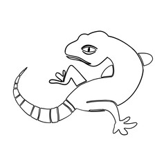 vector illustration of gecko or lizard