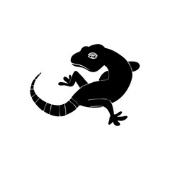vector illustration of gecko or lizard