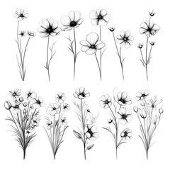 Floral flower vector Illustrations on white background
