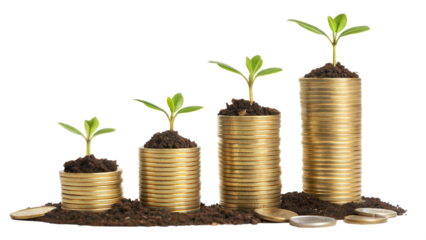 Let me know if you want a shorter or more creative version!