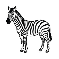 Obraz premium zebra vector illustration outline