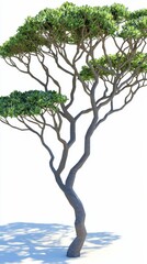 A stunning low poly 3D rende of a majestic Monkey Pod tree showcases its intricate branching structure and lush green canopy against a pristine white background.