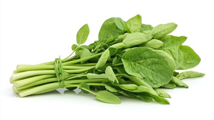 Chayote shoots isolated on white background