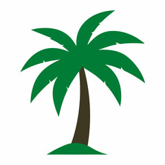 palm tree vector illustration