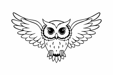 owl on white background
