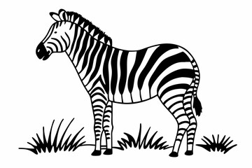 zebra vector illustration