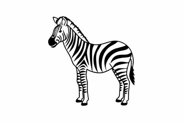 zebra vector illustration