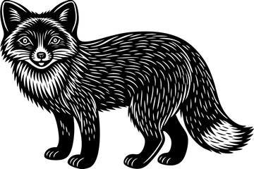 vector illustration of a fox