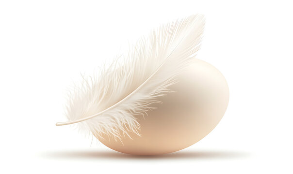 Creative conceptual illustrations of eggs, chickens