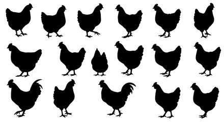 Chicken Silhouette Collection